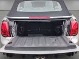 MINI John Cooper Works Cabrio 230PS ++Head+Nav+Cam+Sitzh.+Park-Ass++
