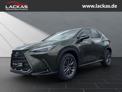LEXUS NX 350 h 15 Jahre Garantie Exec utive + Interieu