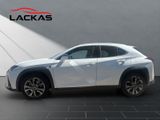 LEXUS UX 250 h F-Sport Design NAVI+CARPLAY+LENKRADH.