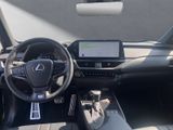 LEXUS UX 250 h*MARK LEV.MEMORY F SPORT*KEIN DESIGN*VOL