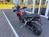 TRIUMPH Tiger 1200 GT PRO MY25 Kundenvorteil -2000?