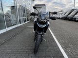 TRIUMPH Tiger 900 Alpine Edition Akrapovic-Lager