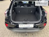 FORD Puma Titanium Design Navi LED DAB Ambientebeleuchtung SHZ LenkradHZG Spurhalteass. Verkehrszeichenerk.
