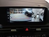 KIA Sportage GT-line / Green / elekt. Sitz