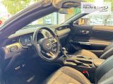 FORD Mustang GT Convertible 5.0 Ti-VCT V8 EU6d-T Faltdach Navi Leder Soundsystem B & O Klimasitze