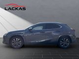LEXUS UX 250 h*MARK LEV.MEMORY F SPORT*KEIN DESIGN*VOL