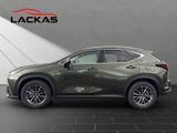LEXUS NX 350h Business Connect Paket+360CAM+Sitzbelüf.