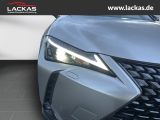LEXUS UX 250h EU6d STYLE+*LED*ACC*CA RPLAY* LED ACC Ap