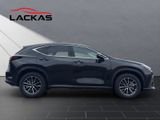 LEXUS NX 350h Business Connect Paket+360CAM+Sitzbelüf.