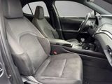 LEXUS UX 250 h*STYLE*CARPLAY*PDC*15 JAHRE GARANTIE