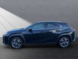 LEXUS UX 250h*1HD*SHZ*ALLW.* 15J-GAARANTIE