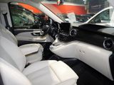 MERCEDES-BENZ V 300 Marco Polo Edition KÜCHE/AMG/NIGHT/AHK/LEDER