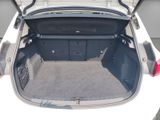 BMW 218 Active Tourer i+Navi+DAB+Rückfahrkam.+PDCv+h+SHZ+Soundsystem