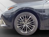 LEXUS ES 300 h Business *TAXI-PAKET*S-Dach*