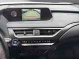 LEXUS UX 250h *lenkH*sitzH*Kamera*