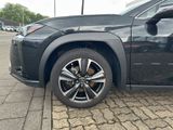LEXUS UX UX Crossover Style Edition 250h Frontantrieb