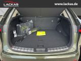 LEXUS NX 350h Executive Interieur + Technologie Paket