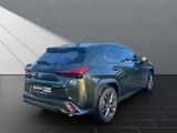 LEXUS UX UX250h*F-SPORT-D.*1HD*NAVI*SHZ 15J-GARANTIE*