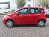 FIAT New Panda Pandina Pop