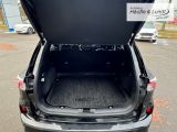 FORD Kuga Plug-In Hybrid ST-Line X AHK-klappbar