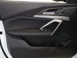 BMW X2 sDrive20i M Sportpaket / M Pro / 21 Zoll LM-Räder