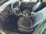 FORD Kuga Plug-In Hybrid ST-Line X Navi Leder Digitales Cockpit Soundsystem B & O 360 Kamera