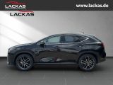 LEXUS NX 350h h 243 PS Luxury 4x4 plus Panoramaglasdac
