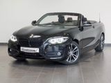 BMW 218 i Cabrio Sport Line LED+Navi+SHZ+Temp+PDC