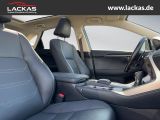 LEXUS NX 300 h Luxury 4x4 Panorama