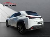 LEXUS UX 250 h F-Sport Design NAVI+CARPLAY+LENKRADH.