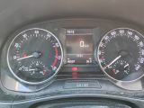 SKODA Fabia 1.0 MPI Joy Green tec Klima Einparkhilfe