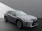 LEXUS UX 250 h*STYLE*CARPLAY*PDC*15 JAHRE GARANTIE