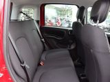 FIAT New Panda Pandina Pop