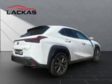 LEXUS UX 250 h F-Sport Design NAVI+CARPLAY+LENKRADH.