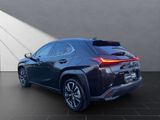 LEXUS UX 250h*1HD*SHZ*ALLW.* 15J-GAARANTIE