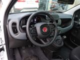 FIAT New Panda Pandina Pop
