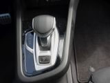 RENAULT Arkana ALPINE M-Hybrid  NAVI+PDC+RFK NP 36.190,-