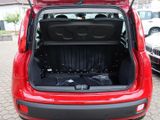 FIAT New Panda Pandina Pop
