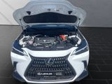 LEXUS NX 450h + Executive Interieur+Technikp+360CAM