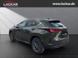 LEXUS NX 350 h 243 PS Executive Inter ieur Paket + Tec