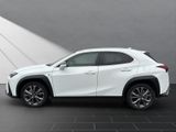 LEXUS UX 250h*F-SPORT-D.*1.HD*ALLW.REIF** 15J-GARANTIE