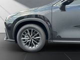 LEXUS NX 350h Executive+4X4+Inter-Tech-Pak sofort Verf