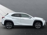 LEXUS UX 250h*F-SPORT-D.*1.HD*ALLW.REIF** 15J-GARANTIE