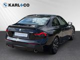 BMW 218 i Coupe LC Prof H&K Tempomat Kamera DAB PDC