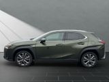 LEXUS UX 250h*FSPORT-D*1.HD*ALLW.REIF*SHZ* NAVI*CARPL*