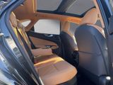 LEXUS NX450H+ Executive Panorama