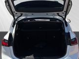 BMW 218 Active Tourer d adapt. LED Aktivsitz Fernlichtassistent