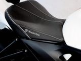 BMW S 1000 R 2 Pakete, DDC, DTC
