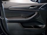 BMW X3 xDrive20i M Sport, Anhängerkupplung, Pano.