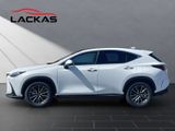 LEXUS NX 450h + Executive Line NX 450h+ Executive Line